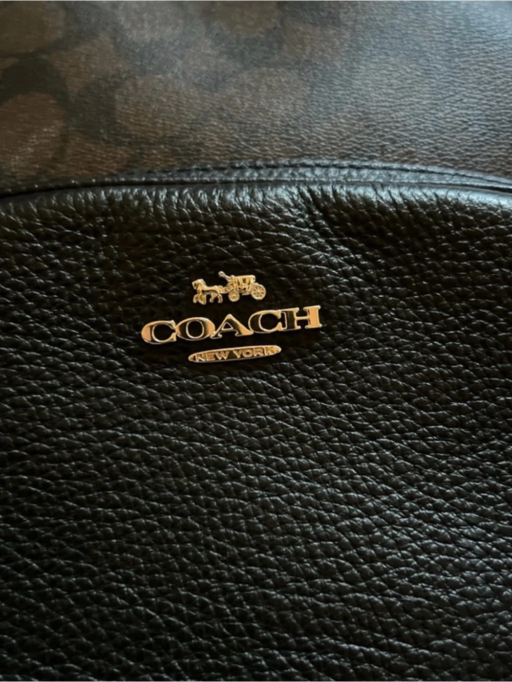Medium Coach Black Pebbled Leather Mini Backpack with Gold Logo